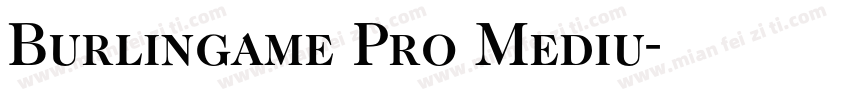 Burlingame Pro Mediu字体转换